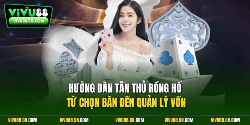Hướng dẫn tân thủ Rồng Hổ từ chọn bàn đến quản lý vốn