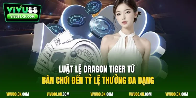 Luật lệ Dragon Tiger từ bàn chơi đến tỷ lệ thưởng đa dạng