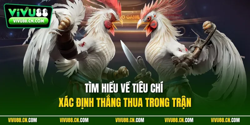 Tìm hiểu về tiêu chí xác định thắng thua trong trận